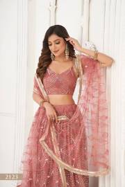 Narayani Fashion   SERIES 2123 TO 2123D